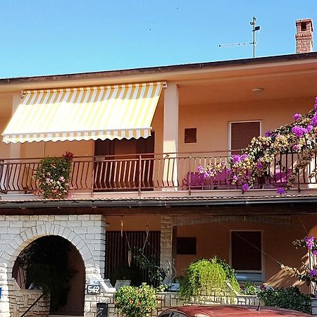 Apartment Taja Ližnjan Zewnętrze zdjęcie